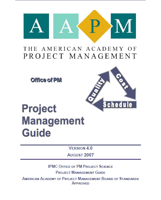 5 Step Executive Project Manager Guide